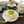 OLIVE_Ph