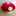きりたん⭐ きりたん⭐