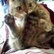 ニオちゃん
