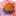 アプリコット124