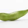 edamame12 edamame12