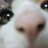 ププぞう