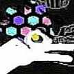 お軍鶏