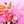 あみゅ＠