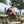 moo2man