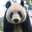 pandanao