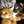 ３匹の猫まま