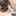 黒ねこ3129 黒ねこ3129