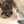 黒ねこ3129