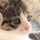 黒ねこ3129 黒ねこ3129