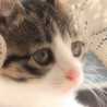 黒ねこ3129