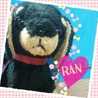 Ｒａｎ☆ｃａｆｅ