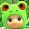 カヨコトリ