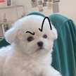 クック205OWO☆