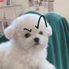 クック205OWO☆ クック205OWO☆