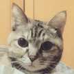 ぴかりん堂本舗