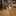 shomago119 shomago119