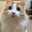 maron0208
