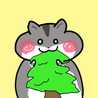 きのみ松の実