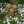 りーこ0617