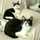 kiyopi4cats kiyopi4cats