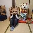 ネコロニー