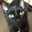 ☆ChatNoir☆