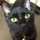 ☆ChatNoir☆ ☆ChatNoir☆