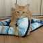 猫たち