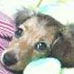 まつぼん
