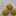 ぽちぷう ぽちぷう