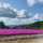 Muu0214 Muu0214