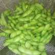 野菜ズッキーニ