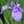 i_yokan