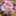 ふちこさんさん ふちこさんさん