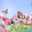 usato1059