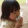 ゆめ工房