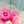 Twinkle224