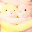 サクサクうさっぺ