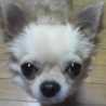 yuki24