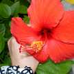 achara
