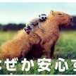 なおあいりおなな