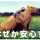 なおあいりおなな なおあいりおなな