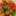TSUNA1225
