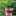 クック3282FB クック3282FB