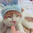 おうちれしぴ
