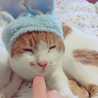おうちれしぴ
