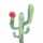 ＊cactus…＊