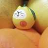 ちぇんばあ