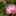 yoppi0128